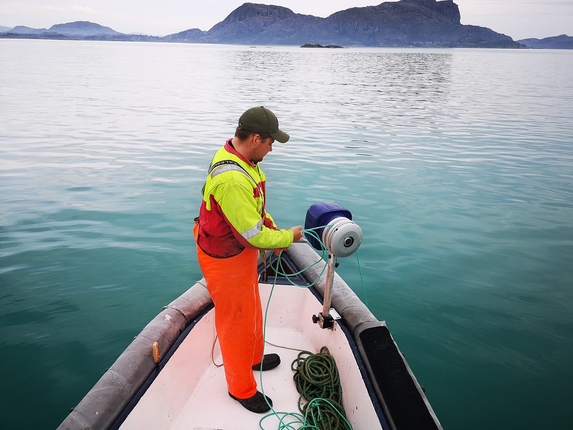 Sea Fishing at the Fjord Coast